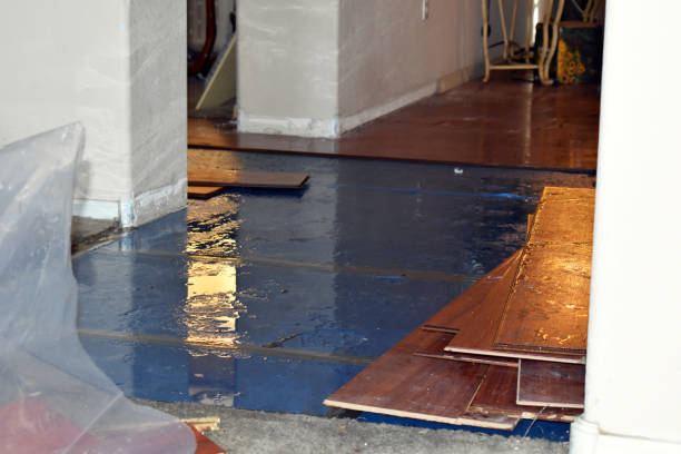 Professional Water Damage Restoration technician working in Mount Horeb, WI